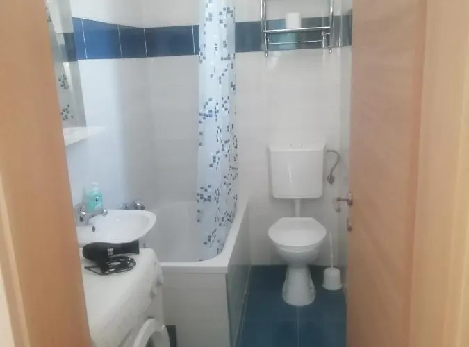 Palmas * רייקה